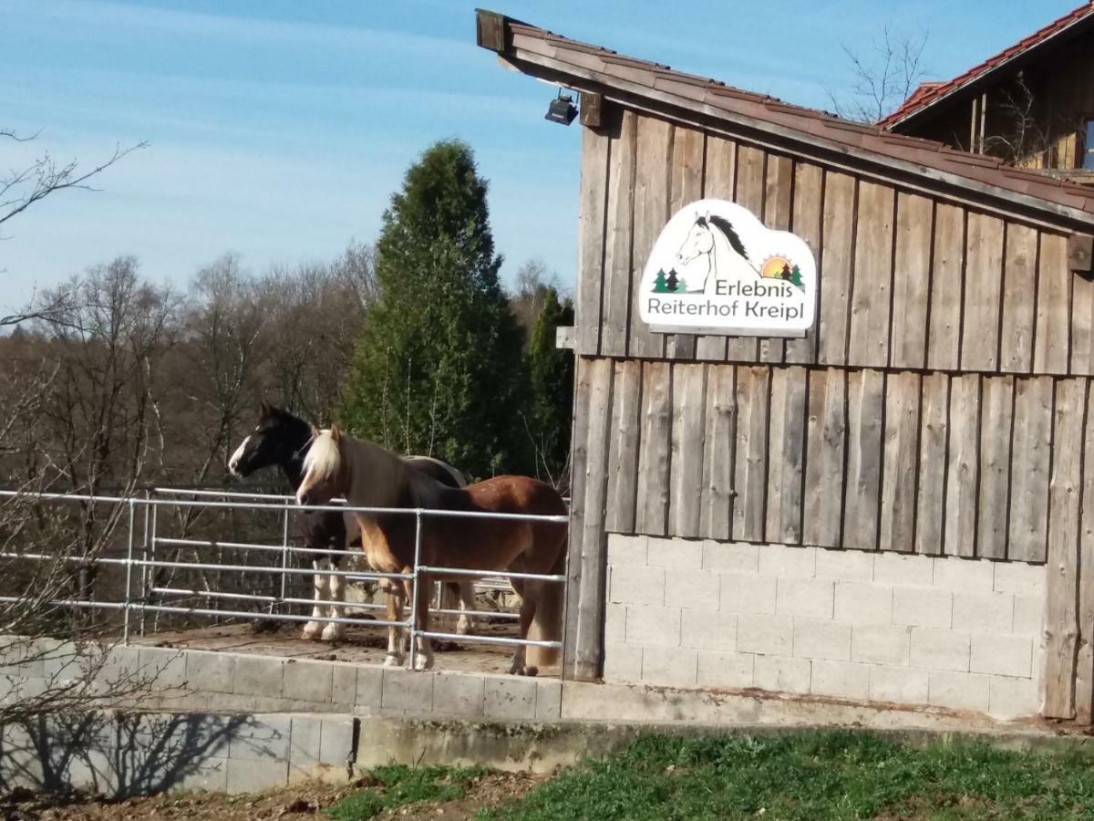 Ferienwohnung Auf Dem Erlebnisreiterhof Kreipl Grattersdorf Zewnętrze zdjęcie